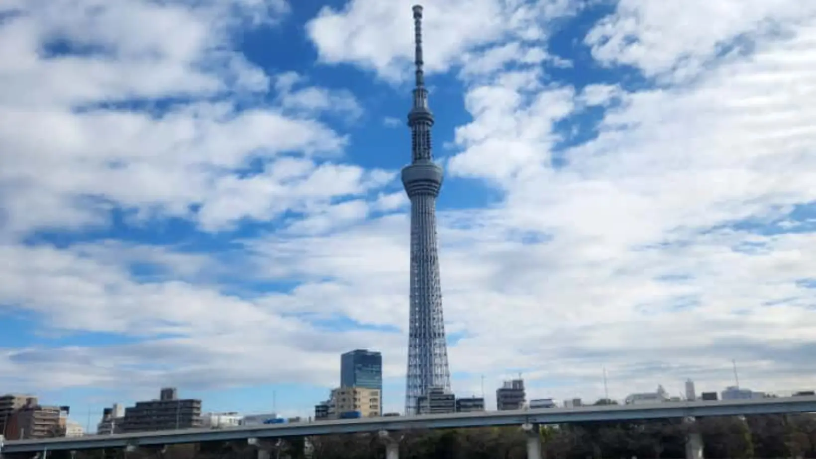 Foto: Tokyo, Jepang (dok. ThePhrase.id/Nadira)