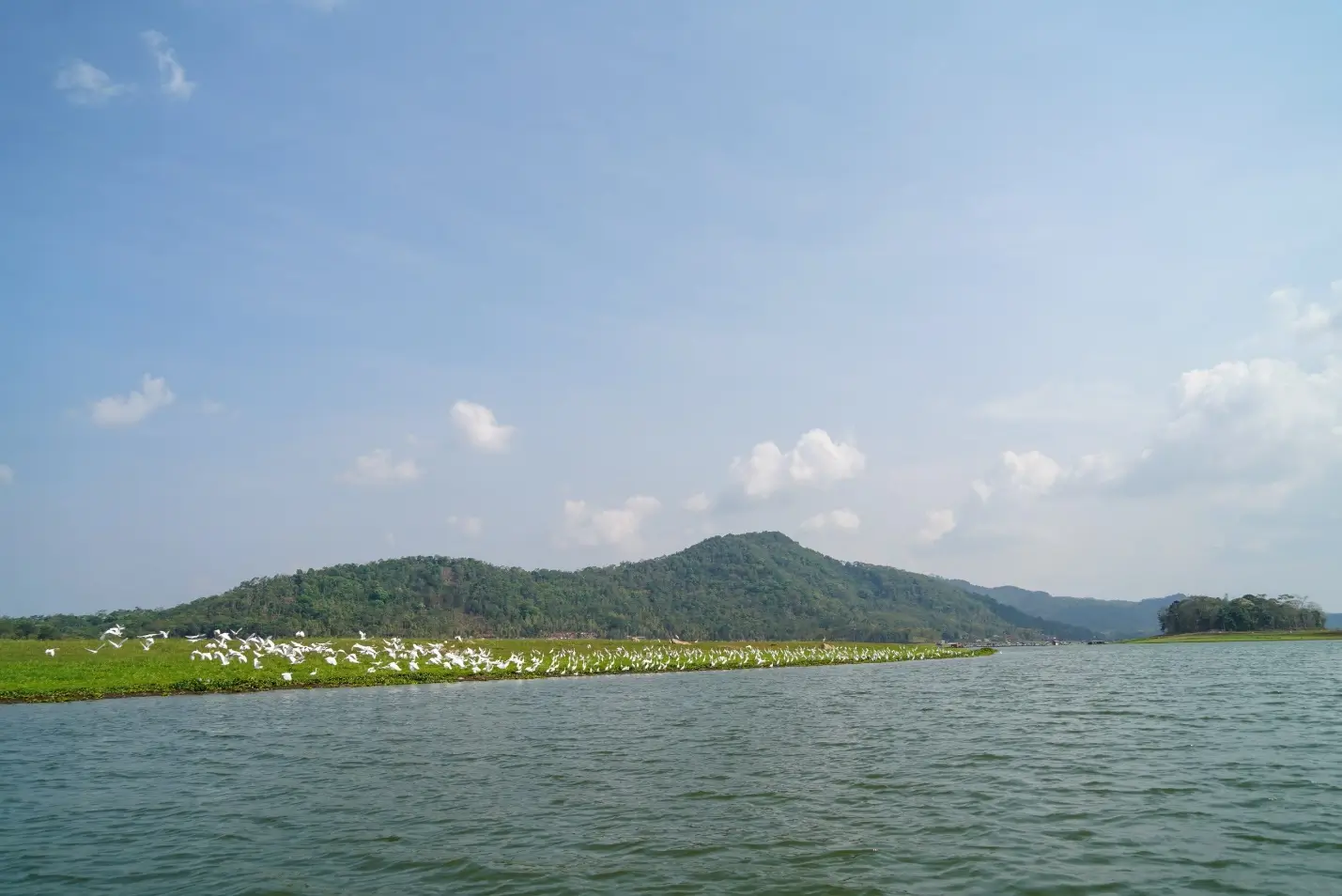 Gak Cuma Puncak Bogor  Ini 3 Destinasi Wisata Alternatif di Jawa Barat untuk Liburan Akhir Tahun 