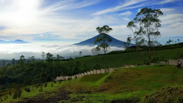 Gak Cuma Puncak Bogor  Ini 3 Destinasi Wisata Alternatif di Jawa Barat untuk Liburan Akhir Tahun 