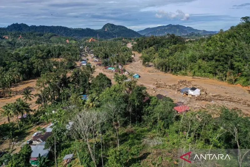 Ilustrasi: Kerusakan hutan. (Foto: ANTARA FOTO/Muhammad Adimaja/nz)
