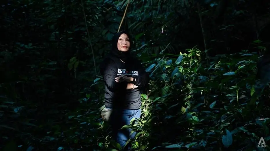 Kisah Inspiratif Rosita Istiawan Bangun Hutan Organik Megamendung dari Tanah Gersang Jadi Sumber Penghidupan